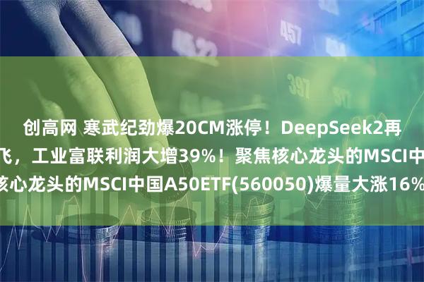 创高网 寒武纪劲爆20CM涨停!DeepSeek2再传消息?乘算力东风起飞,工业富联利润大增39%!聚焦核心龙头的MSCI中国A50ETF(560050)爆量大涨16%!