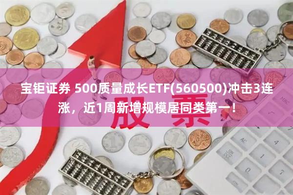 宝钜证券 500质量成长ETF(560500)冲击3连涨,近1周新增规模居同类第一!
