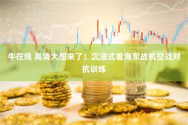 牛在线 高清大图来了！沉浸式看海军战机空战对抗训练