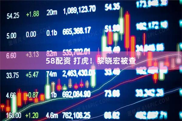 58配资 打虎！黎晓宏被查